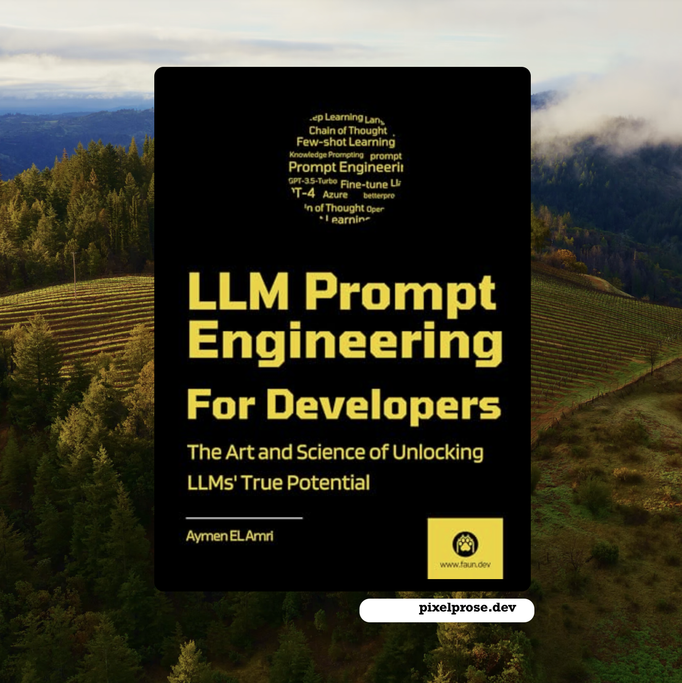 LLM Prompt Engineering For Developers